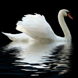 Image by Adobe Stock